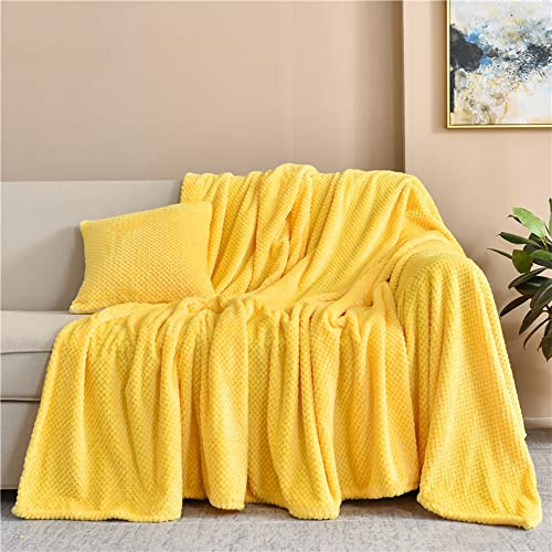 WYJHNLBEDC Fleecedecke 150x200, Große Hund Decke Baumwolldecke | Kuscheldecke Flauschig Warme Decke, Tagesdecke/Sofaüberwurf/Bettüberwurf/Hundedecke Waschbar