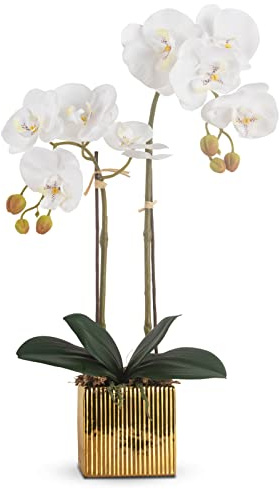 Ziwon Artificial Orchid Flowers Potted in Ceramic Pot, White Faux Phalaenopsis Orchids for Table Centerpiece, Realistic Fake Flower in vase for Home Office Decor Indoor
