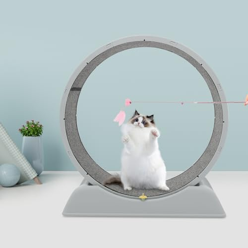 Katzenlaufrad für Indoor-Katze, Ultraleises Sicherheits-Trainingsspielzeug, Katzen Laufrad, für Kleines Mittel Großes Katze Fitness-Gewichtsverlust-Gerät, Grau