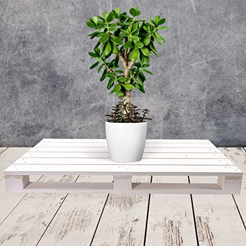 Holzpaletten/Palette Shabby Chic aus Holz - Einwegpalette Tauschpalette Upcycling Palettentisch (2 Stück_Weiß)