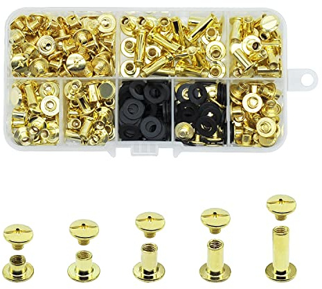 JINTANG 100 Set di Viti Chicago per Rilegatura,Kit di Rivetti a Vite 4/6/8/10/15 mm per Cintura in Pelle,Chiusure a Bottone Rivetti Chicago per Cuoio,Bottoni per Artigianato in Pelle Fai Da Te