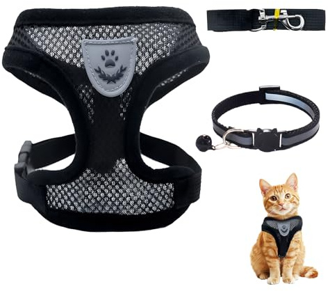 Harnais Chat, Harnais pour Chat avec Laisse Enrouleur, Chaton Laisse Anti-évasion réglable Souple Anti-Fugue et Maille Respirante Facile à Mettre pour Petit Chien lentraînement en Plein air (S)