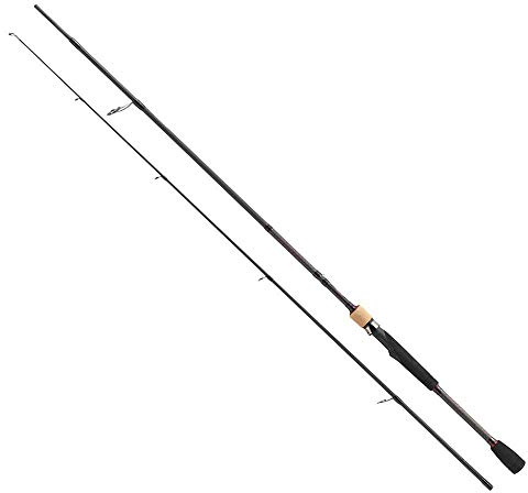 Berkley E-Motion Baitcastrute - Spitzenaktion-Spinrute - Raubfischangeln, Hecht, Barsch, Zander, Forelle