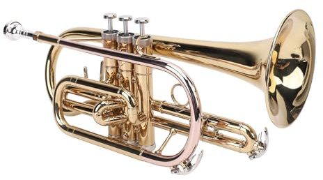 POENVFPO Professionelle B-Trompete, Goldmessing-Standard mit Hoher Tonfähigkeit, Komplettset für Anfänger und Fortgeschrittene