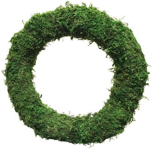Moss Effect Wreath Ring, 25cm Round Base, Moisture Retaining Padded Frame for Fresh and Artificial Door Decorations, Christmas DIY Floral Projects (1)