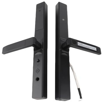 Cocoarm Serratura Intelligente per Porta, Serratura Intelligente con Impronta Digitale con Ingresso Senza Chiave e Maniglia Anti-collisione con Controllo App WiFi Integrato, per Porta (BLACK)