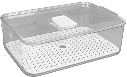 Centi Kühlschrankbox mit Modellwahl Frischhaltedosen Vorratsdosen XL Organizer Dosen mit Deckel Aufschnittbox (XL mittelhoch LxBxH : 33 x 21,5 x 10 cm)