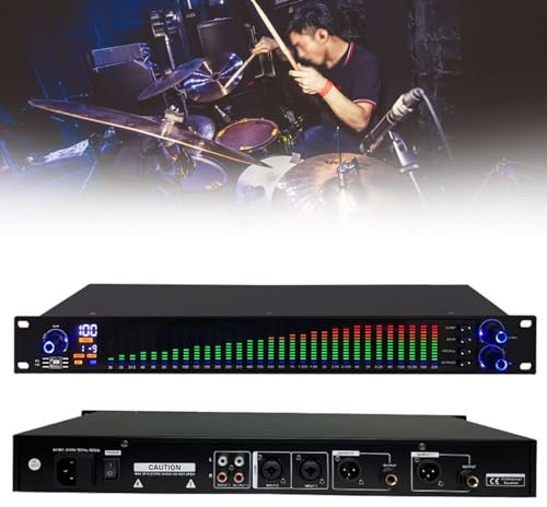 Professioneller dualer digitaler 31-Band-Equalizer-Prozessor, 10 gespeicherte voreingestellte Effekte, Rauschunterdrückung für hochauflösende Klangqualität, unabhängige Einstellung von Höhen, Mitten