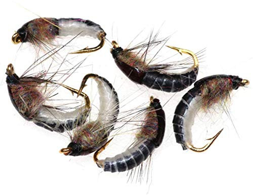 NA Realistische Nymphenfliegen, super stabile Haken, Nassfliegen für Forelle, Nymphe, Perlenkopf-Angeln, 6 Stück
