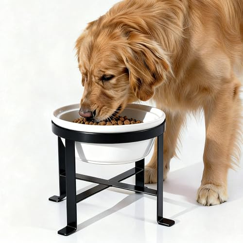 BestVida Erhöhter Hundenapf, Erhöhter Einzelnapfständer, Hundefutterstation mit 1x2400ml Steingutnapf, Hundenapf für mittelgroße und große Hunde (große,Weiß)