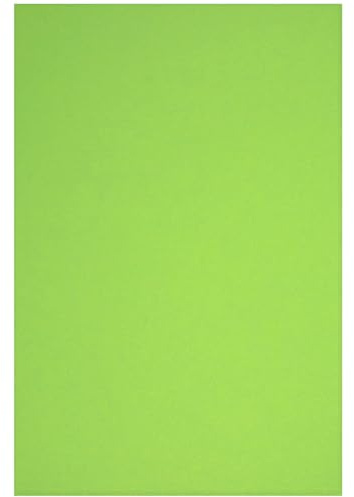 Netuno 100 Blatt Bastelkarton farbig Grün DIN A4 21 x 29,7 cm 230g Rainbow farbiges Kopierpapier bedruckbar für Inkjet Laser Schule Büro Basteln Druckerpapier bunt Bastelpapier Tonpapier