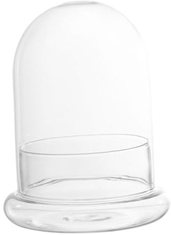 Gatuida Terrarium en Verre Cloche Transparente Grosse Taille avec Petit Trou pour Micro-Paysage Écologique Décoration Maison Plante Mousse Solide Écologique