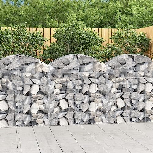 HaoChrymec Gabbione ad Arco, Struttura in Ferro Zincato 3.5 mm, Gabbione Pietra Cestino con Design Ad Arco, Per Giardino Cortile o Terrazzo, 100x50x100/120 cm