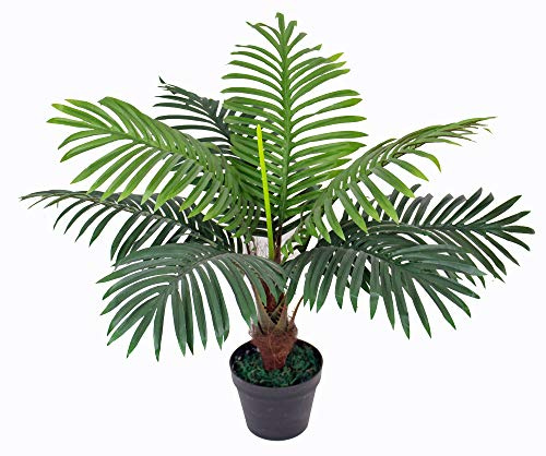 Künstliche Palme mit Topf ca. 60 cm hoch Kunstpflanze künstliche Pflanze Kunstbaum Kunstpalme Baum Bäumchen Blume Kunstblume Deko Dekoration Geschenk (JWP231)