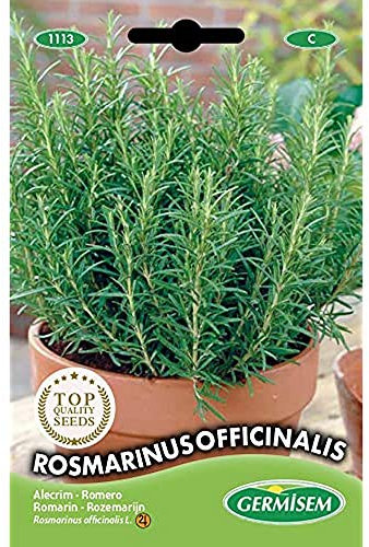 Germisem Rosmarin, mehrfarbig, EC1113