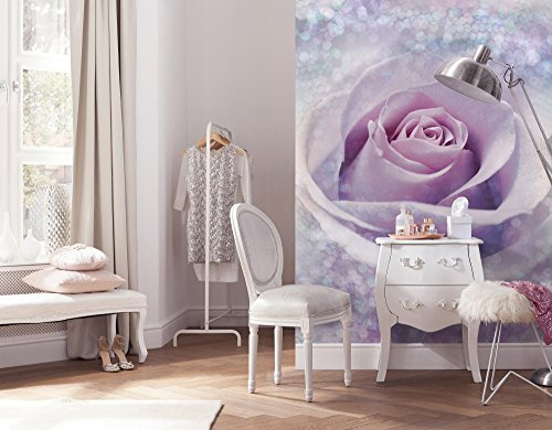 Komar X4-020 Delicate Rose - Papel pintado fotográfico (200 x 260 cm, 4 tiras de 50 cm), color blanco, azul y rosa