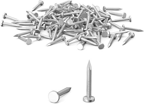 100Pcs 20mm Nails for Wood, Wood Nails, Galvanized Concrete Wall Nail, Masonry Nails, Picture Nails for Carpentry & DIY, Hanging Pictures and Woodworking-Silver
