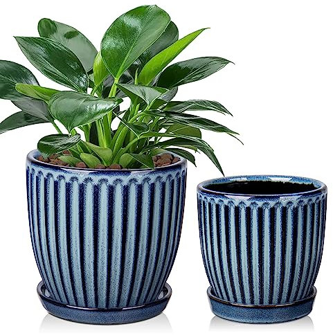 Oairse Juego de 2 macetas de cerámica de 13 cm y 15 cm, maceta de cerámica azul con agujeros de drenaje y platillos decorativos a rayas, macetas modernas para plantas suculentas de cactus, orquídeas y