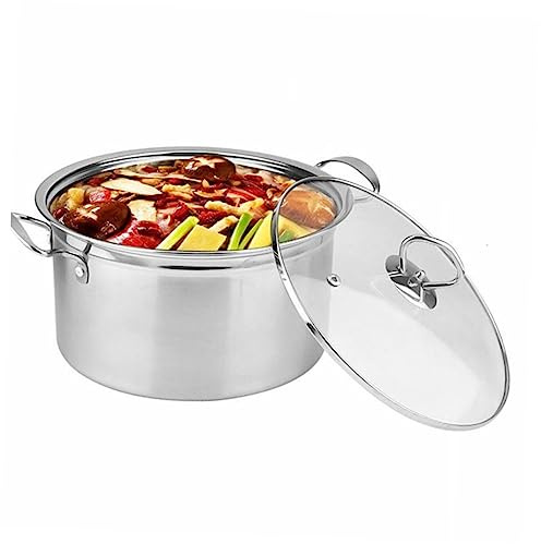 LOEFLIFA Marmite à Soupe Vapeur Cuiseur Vapeur Acier Inoxydable Marmite Multifonction Ustensiles De Cuisine Cadeaux De Cuisine