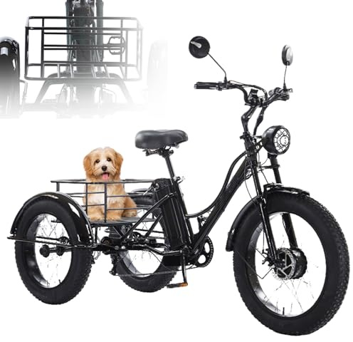 EaThsalL 24 E BIK Herren Damen Elektro-Dreirad Für Erwachsene Faltbares E-Bike 3 Rad Elektrodreirad FüR Senioren mit Aufbewahrungskorb Höhe Einstellbare Tragfähigkeit 200kg