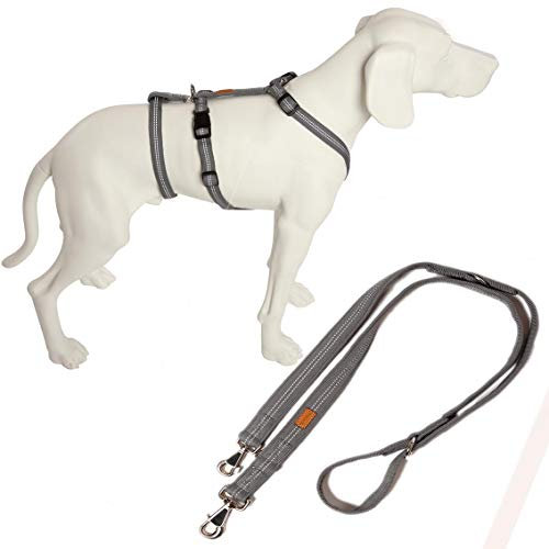Feltmann No Exit ausbruchsicheres Hundegeschirr für Angsthund, Sicherheitsgeschirr für Pflegehunde, Panikgeschirr, Super Soft, Neonorange, Bauchumfang 35-50 cm, 15 mm Bandbreite
