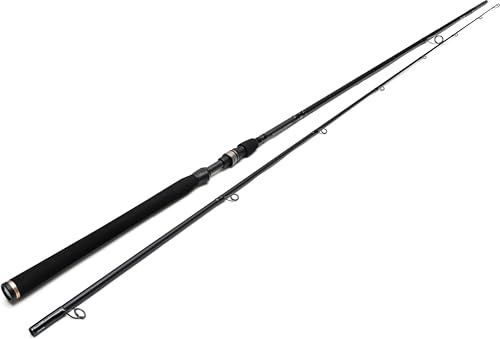 Westin Angelrute zum Spinnfischen auf Hechte 240cm XH 25-80g W4 Powerlure 2nd