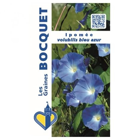 Sachet de graines de Ipomée volubilis bleu azur - 3 g - LES GRAINES BOCQUET