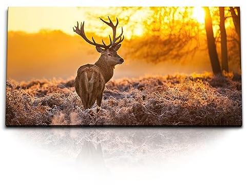 Paul Sinus 120x60cm Leinwandbild majestätischer Hirsch in der Morgensonne, beeindruckendes Wandbild für Naturliebhaber.