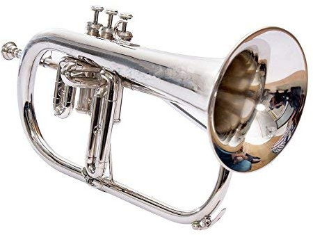 Flache Flügelhorn RDS123 Bb Nickel, inklusive Hartschalenkoffer und Mundstück
