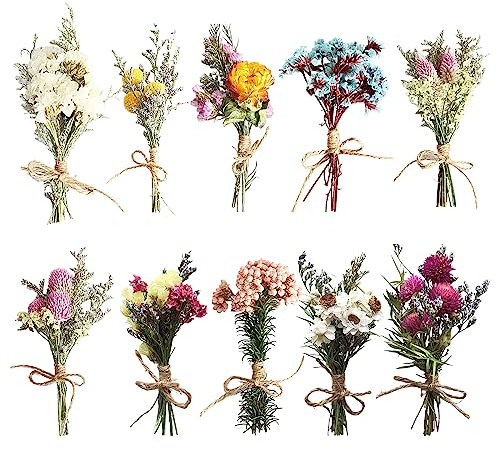 Getrocknete Blumenstrauss,10 Bündel Natürliche Getrocknete Blumen Gemischte, Trockenblumen Zum Basteln, Mini Getrocknete Blumenstrauß Bündel für Bilderrahmen Kunst DIY Harz Handwerk (B)