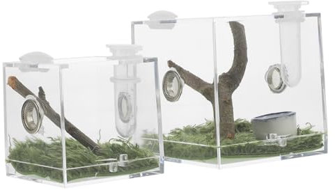 BUGUUYO 2 Stück Transparente Acryl Zuchtboxen Für Springspinnen Leichtes Spinnenterrarium Mit Fütterungsöffnung Kompakte Insektenhabitatbox Für Beobachtung Und Aufzucht