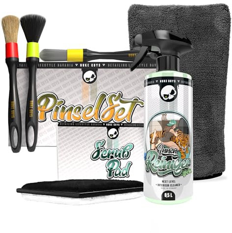Nuke Guys Set di pulizia per interni auto, 500 ml, guanto dettagliato + 3 pennelli per la pulizia + tampone per la cura dell'auto