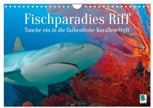 Fischparadies Riff (Wandkalender 2026 DIN A4 quer), CALVENDO Monatskalender: Fische am Riff: Tauche ein in die farbenfrohe Korallen-Welt (CALVENDO Tiere)