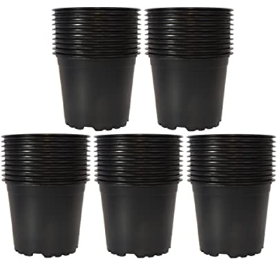 meindekoartikel 50 Pflanztöpfe Blumentöpfe schwarz/rund mit speziellen Boden und U-Rand aus Kunststoff ideal zur Anzucht und Aufzucht (Ø 9cm)