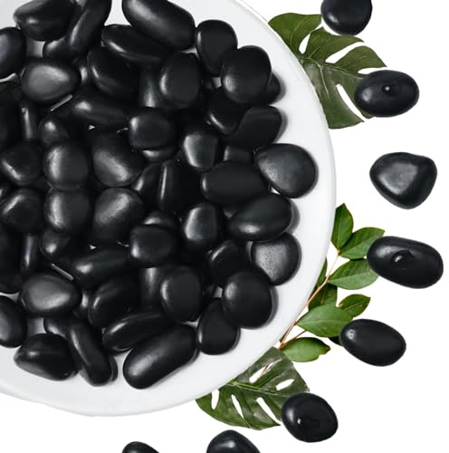 Lechloris 5Ib Black River Rock-Decorative Stones-Pebbles for Indoor Plants-Rocks for Outdoor Landscaping- 0.3-0.8 inch High Polished Stones for Fish Tank, Terrarium,Vases, Home Decor