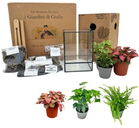 I GIARDINI DI GIULIA - Kit Terrarium DIY | Conteneur géométrique en verre et fer | Comprend 3 plantes et substrats | Idéal pour design d'intérieur, noir et transparent