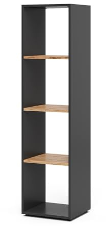 Vicco Raumteiler Ludus, Anthrazit/Goldkraft Eiche, 36.8 x 144.9 cm | zur Aufbewahrung und Präsentation von Büchern und Boxen