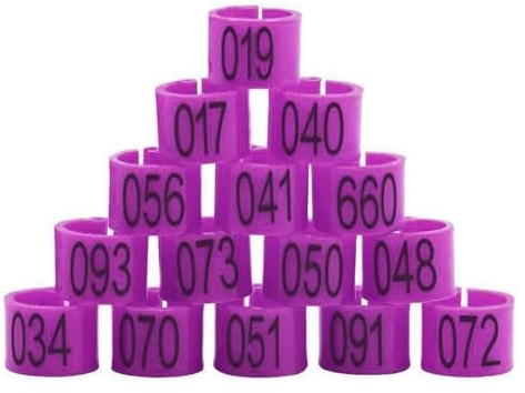 CHAASDEOM Der Taubenring 100Pcs Bajonett Anzahl Anerkennung Bein Pigeon Fuß Fuß Pigeon 10mm Mit Wort Öffnen Träger(Purple)