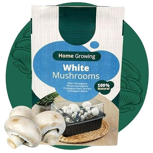 Carbeth Plants - Mushroom Growing Kit White Button - Grow Your Own Beginner Friendly Mushroom Educational Kit - Easy to Use Gardening Gift - Ready to Grow Tasty Produce for Cooking