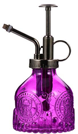 FONDOTIN Arrosoir Vintage avec Bouteille Pulvérisateur pour Plantes et Fleurs Design Élégant et Pratique pour Arrosage de Petites Plantes Intérieur et Terrariums
