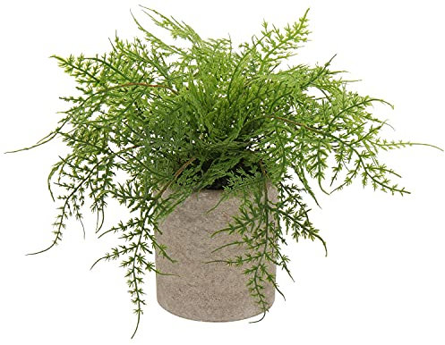 Artificial Potted Asparagus Fern Plant Fake Plant in pot, Small Decorative Faux Potted Herbs Indoor, Artificial Fern Grass for House Office Bedroom Desk Decor