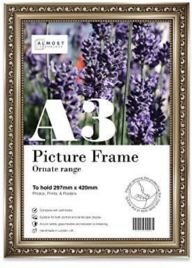 Almost Frameless A3 Gunmetal Ornate Picture Frame Fits A3 (29.7 x 42cm - 11.7 x 16.5in) Poster, Photo, Artwork, or Print. Shabby Chic Style Portrait and Landscape Display with Wall Hooks