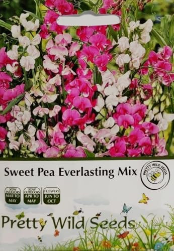 Sweet Pea Everlasting Mix Seeds in Pictorial Packet- Packed in The UK- 20 Seeds