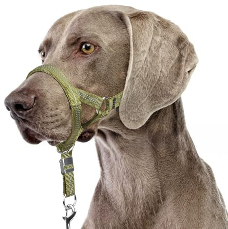 BARKLESS Sturdy No Pull Head Collar for Medium Large Dogs, Gentle Reflective Head Halter with Safety Link, Adjustable Nylon Dog Training Muzzle Leash for Walking Control (Green, L)