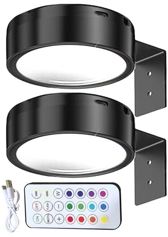 Weldphur Luce Per Quadri Senza Fili, 2 Pezzi Lampada per Dipinti con Caricabatterie USB, Lampada Magnetica con Comando Remoto 3 Colori Regolabili per Camera Galleria Ingresso