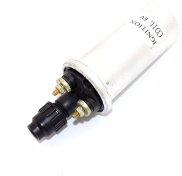 Bobina di accensione universale, 47275, bobina Ignition da 6 V