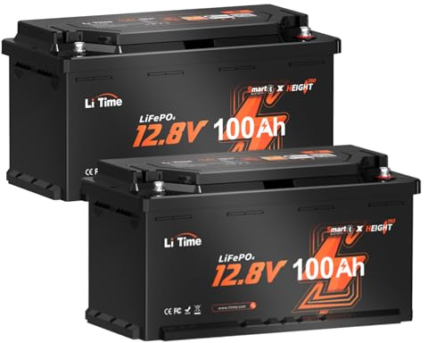 LiTime 12V 100Ah LiFePO4 Wohnmobil Batterie Bluetooth, 2 Pack Lithium Akku Wohnmobil-Untersitz DIN H8 L5 Größe Gruppe 49, Tieftemperaturschutz, 15000 Zyklen, 20.48kWh, perfekt für RVs, Wohnwagen