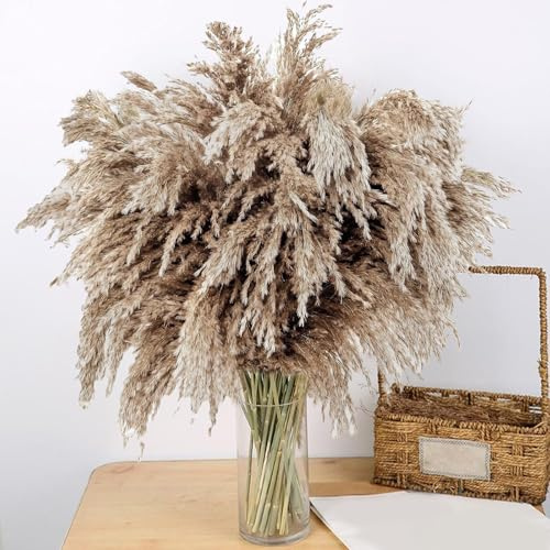 Koprek 20 Pcs Fluffy Pampas Grass Artificial, 60cm Tall Pampas Grass Boho Room Decor, Natural Dried Pampas Bouquet Grass, Used for DIY, Wedding, Table Living Room Vases Home Decor(Brown)