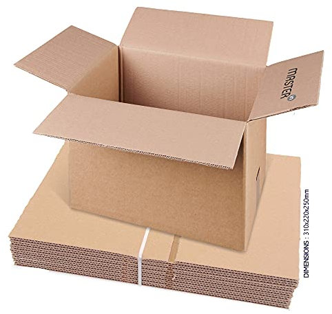 Master'in: Caisse carton double cannelure - Brune - 310x220x250mm - Lot de 15 caisses