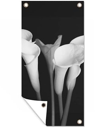 MuchoWow Poster exterieur Gros plan sur des fleurs de lys de calla sur un fond noir. Decoration murale 40x80 cm Résistant aux intempéries/soleil